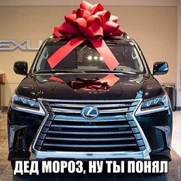 ����, ��������, 41 ���