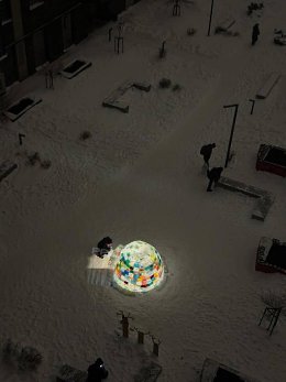 �����������