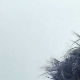 Kozimbek, �����, 27 ���