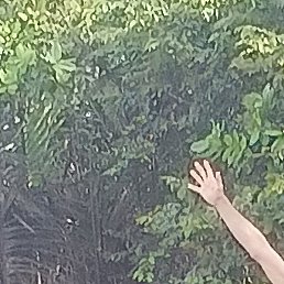 ��������, ������, 45 ���