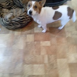 ��������, ��������, 51 ���