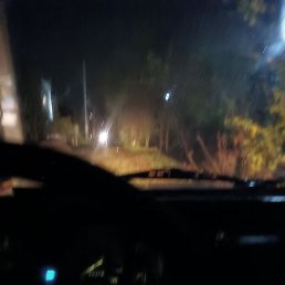 �����, �������, 29 ���