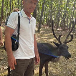 ����, ������, 59 ���