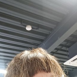 ���� ���, ������, 50 ��� - ��������� 14 ������ 2026