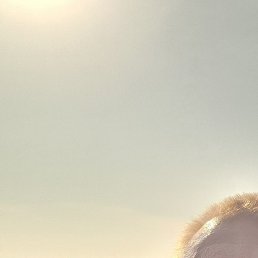 ��������, ������, 44 ����