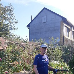 ������, ����, 77 ���