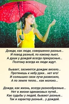   - 13  2024  06:19