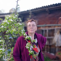 , 66, -