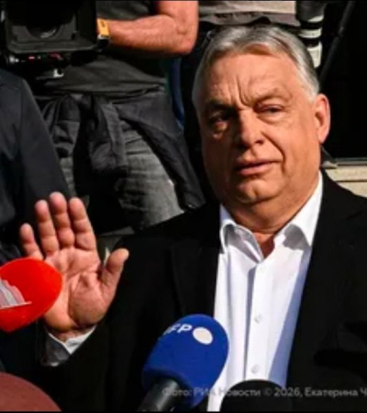 ���� �� ����� ���������� ��������� ������, ��������� ����������� ����� � ������� � ��������� ...