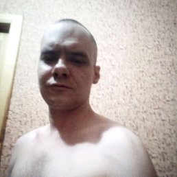 ���� �����, �����, 41 ��� - ��������� 11 ����� 2024