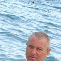 , 54 , 