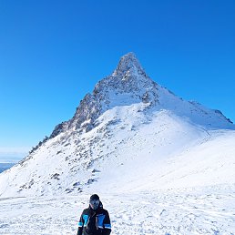 ���� ������� ��������, �������������-����������, 45 ��� - ��������� 12 ������� 2024