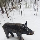 ���� ���������, ������������ - ��������� 28 ������ 2025 � ������ ���� ����������