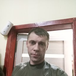 ���������, 43 ����, �����������