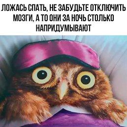 ���� �������, ���������, 44 ���� - ��������� 14 ������ 2026
