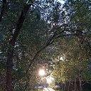 ���� ���������, ����, 43 ���� - ��������� 28 �������� 2025 � ������ ���� ����������