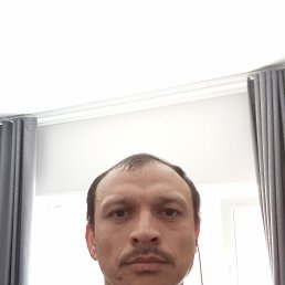 , 38, 