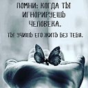 ���� ��������, ����� - ��������� 17 ������ 2024 � ������ ������ ��������