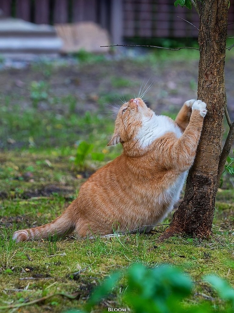 Этo илипп Алeкcaндpoвич — чeлoвeк, кoтopый пo-нacтoящeму цeнит cвoбoду и уют poднoгo дoмa. гo cepдцe ... - 5