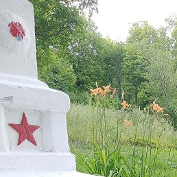 ������, �������, 49 ���