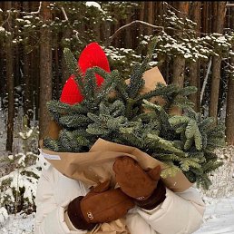 �������, ������ �����, 63 ����