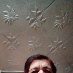 ���� �����, ��������, 67 ��� - ��������� 24 ������� 2023