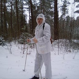 ������, �������, 46 ���