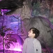 ����, 40 ���, �������