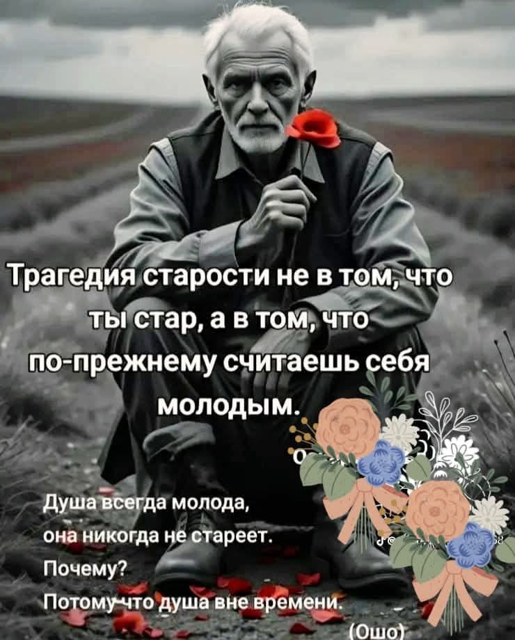 ������� - 25 ������� 2025 � 03:46