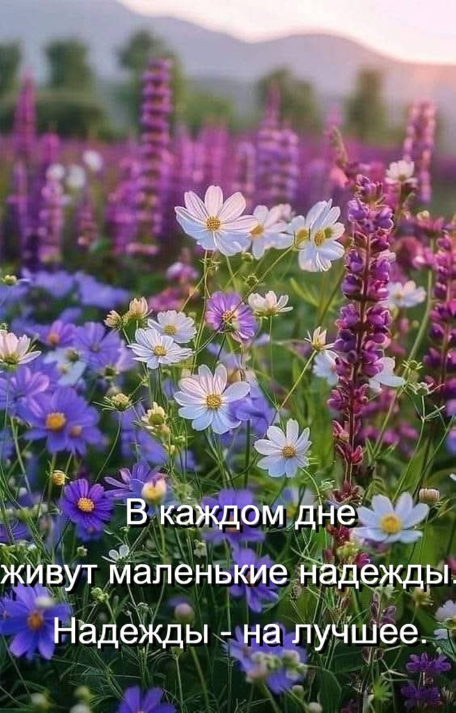 �������� ������ - 5 ���� 2026 � 08:06