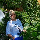 ���� ������, ������ ��������, 53 ���� - ��������� 8 ���� 2025 � ������ ���� ����������