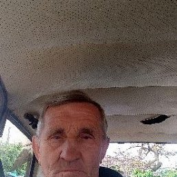 , 67, 