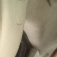 �������, 38 ���, �������