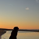 ���� Oxana, �������, 41 ��� - ��������� 12 ������ 2026 � ������ ���� ����������