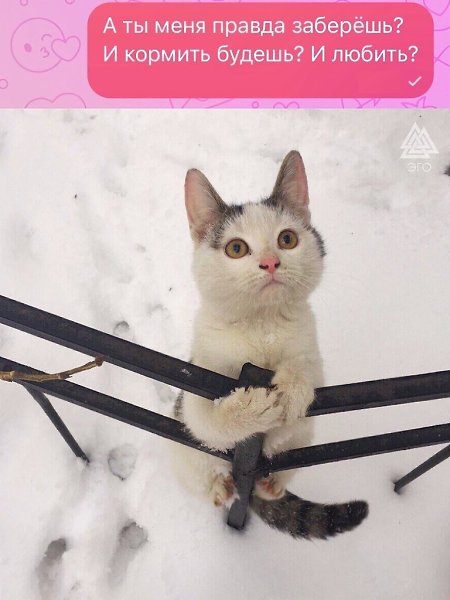 !      