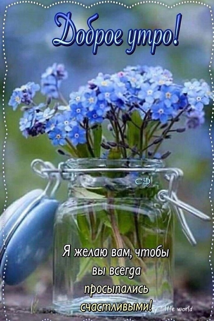   ,    . - 17  2025  07:29