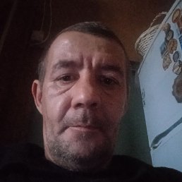 ����, ������, 49 ���