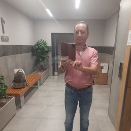 ���� �����, ����, 55 ��� - ��������� 14 �������� 2026