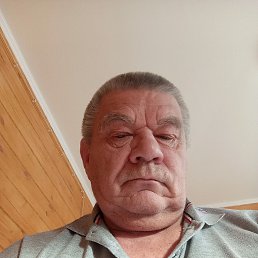 ������, 67 ���, ���������