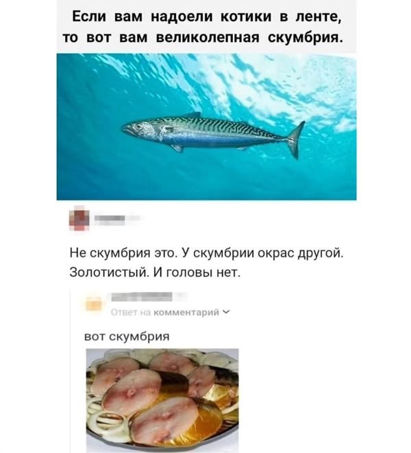   - 25  2025  15:22