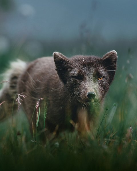  . ,    ,       ... - 3