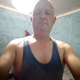 , 56, 