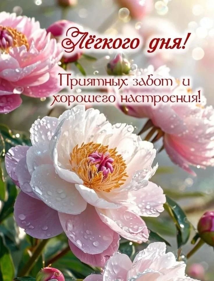 ��� ���� - 30 ������ 2026 � 12:51