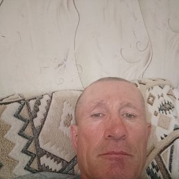  , 51 , 
