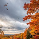���� ��������, �����������, 33 ���� - ��������� 7 �������� 2026 � ������ ������ ��������