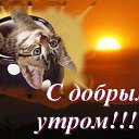 ���� ������, ������������, 53 ���� - ��������� 13 ������ 2025 � ������ ���� ����������