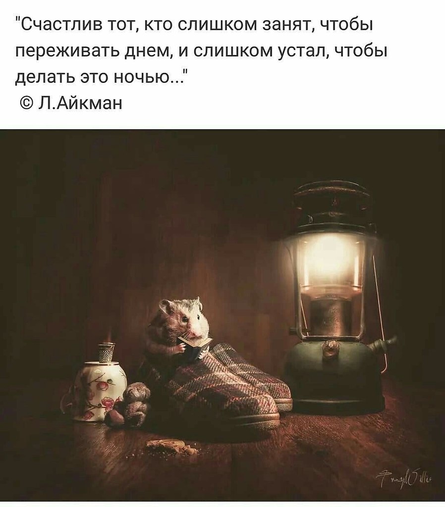   - 4  2025  12:33