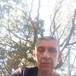 , 45 , 