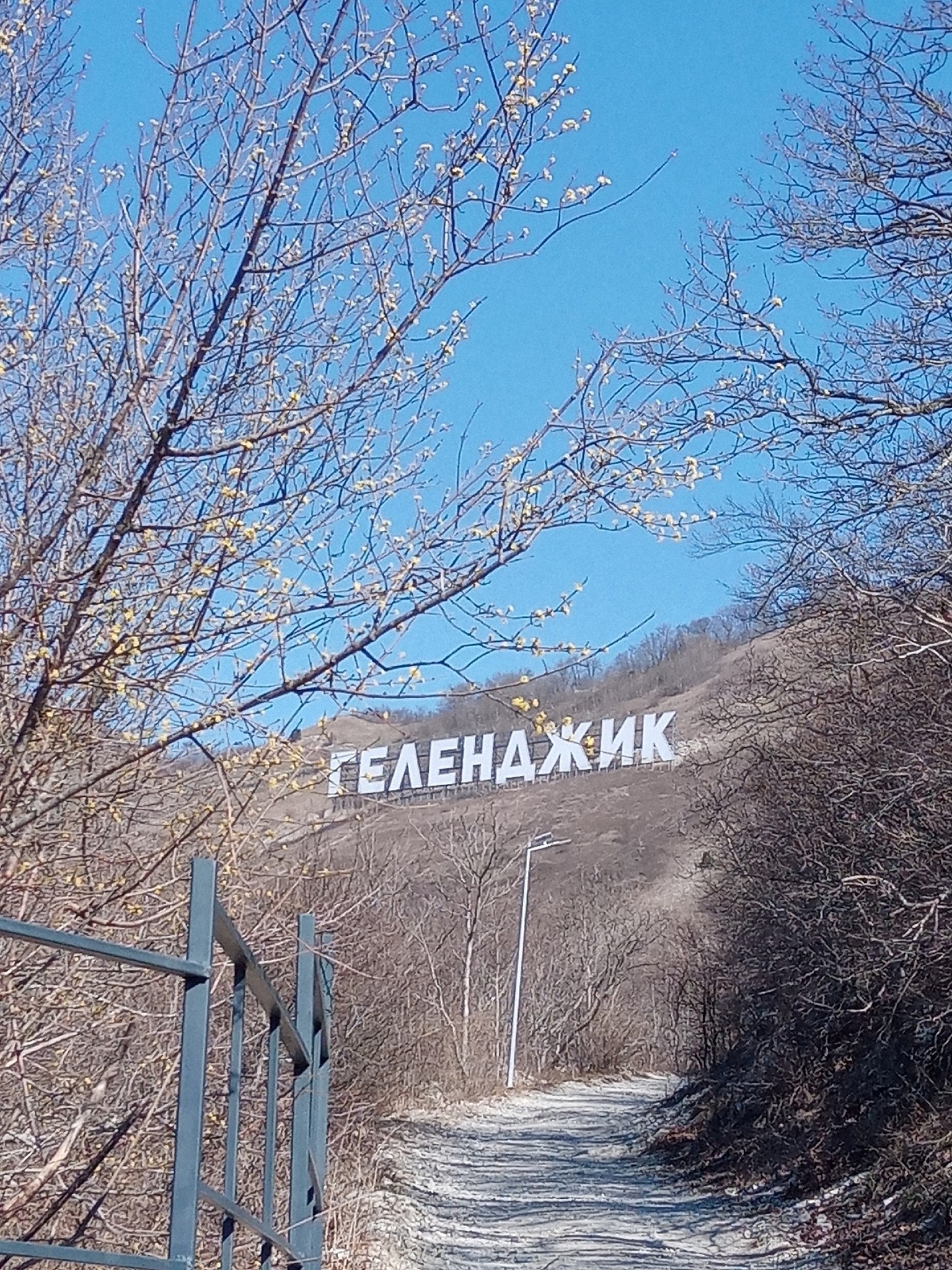   ,    - 7
