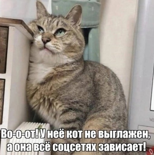   - 17  2024  09:31
